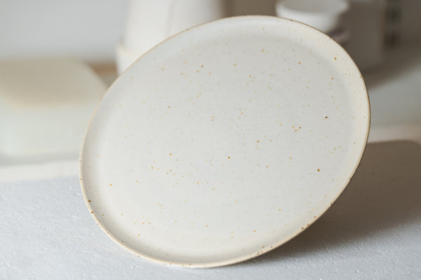 Dinner Plate Speckled Matt