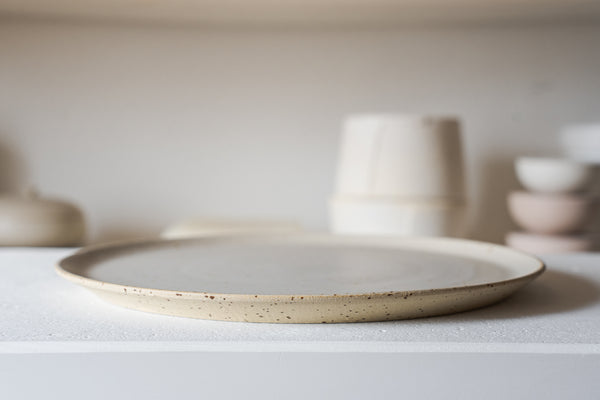 Dinner Plate Speckled Matt