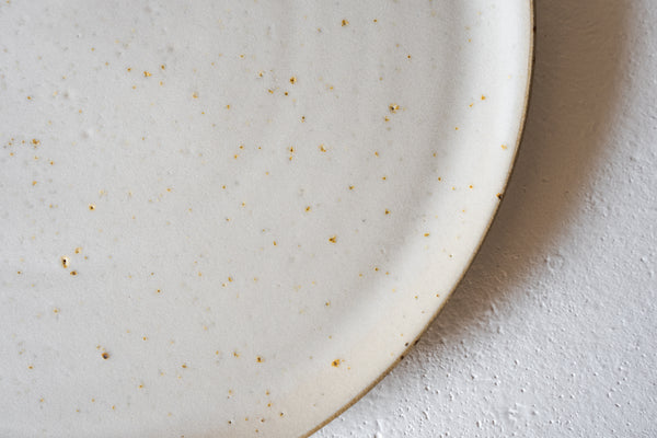 Dinner Plate Speckled Matt