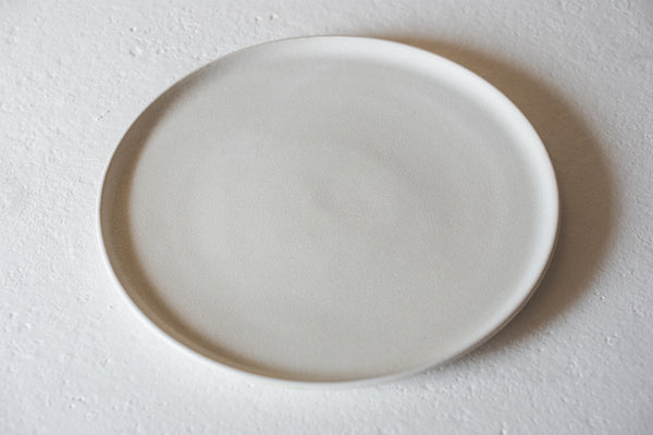 Dinner Plate Speckled Matt